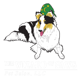 The Wizard of Paws Pet Salon, LLC